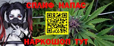 гашик Сланцы