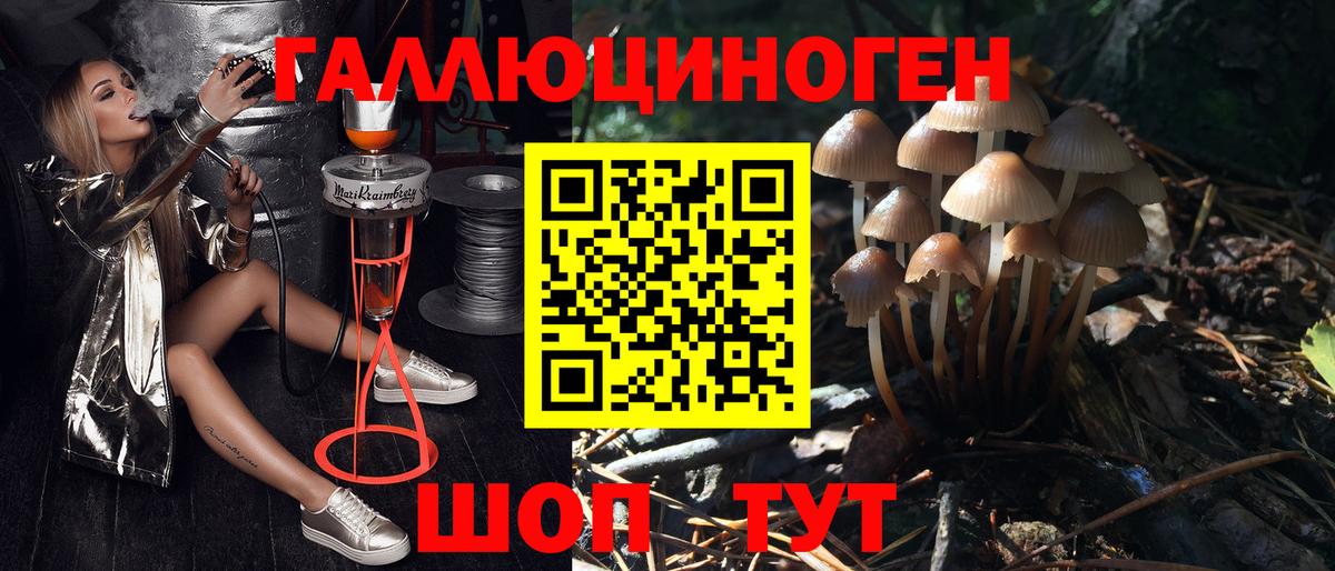 Галлюциногенные грибы мухоморы Пугачёв