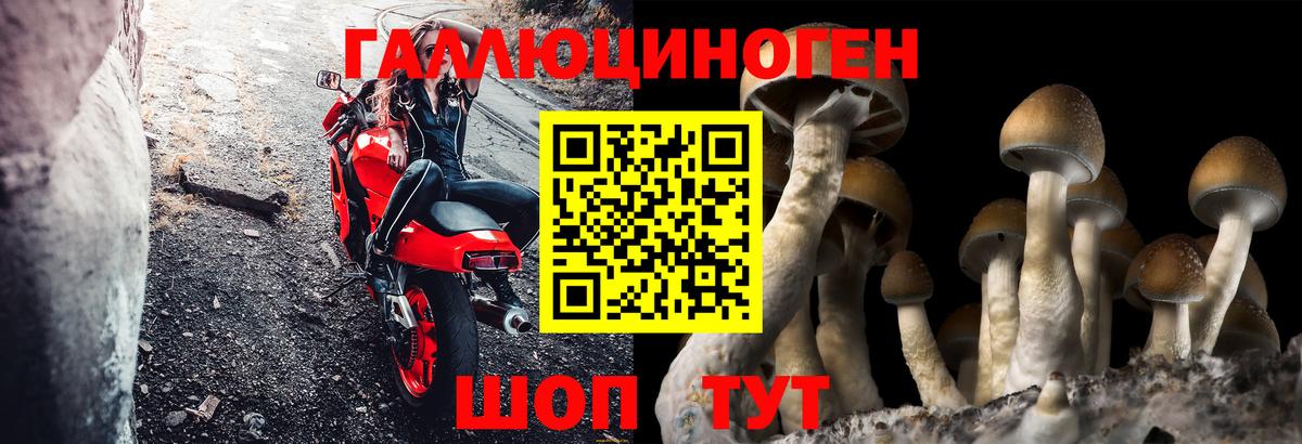 Галлюциногенные грибы мухоморы  Вход с VPN  Галлюциногенные грибы GOLDEN TEACHER  Пугачёв 